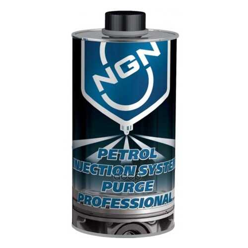 Petrol Injection System Purge Professional 1л в ЕКА
