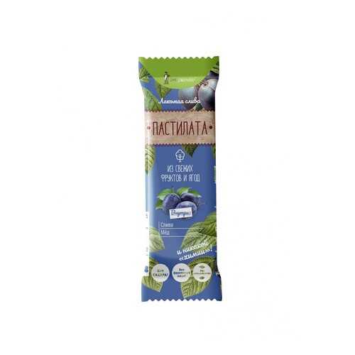 Пастила фруктовая Экофермер pastilata слива с медом 30 г в ЕКА