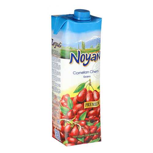 Кизиловый нектар Noyan premium 1л в ЕКА
